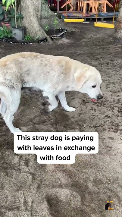 my heart is breaking😭