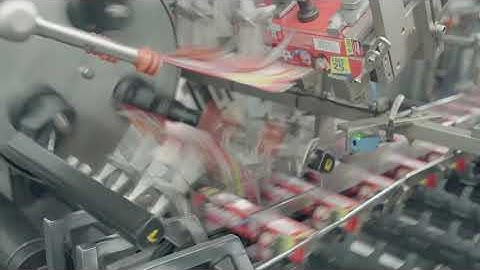 MERLIN 300XC Horizontal Cartoner for tubes