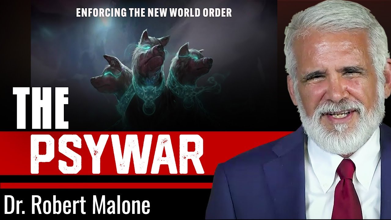 Psywar Book The PsyWar Book… But Who Was It Really Written For? - Dr Robert Malone ...