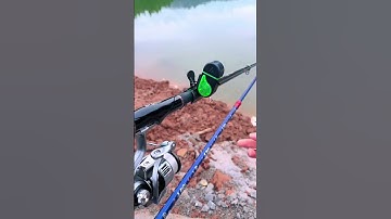 Chuông Báo Cá Điện Tử Gắn Đèn Led Báo Động Cá Cắn Câu