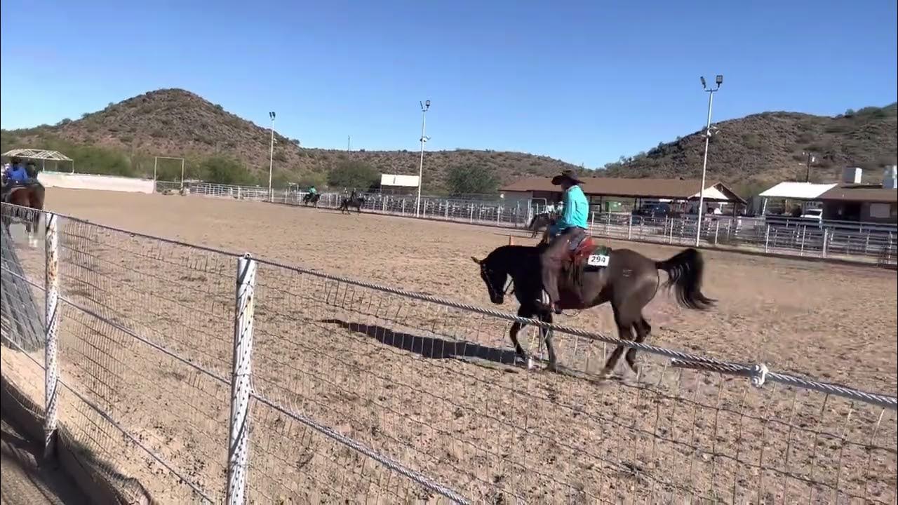 Blue Ribbon Horse Show Ranch Rail 3 gait 11/06/2022 YouTube