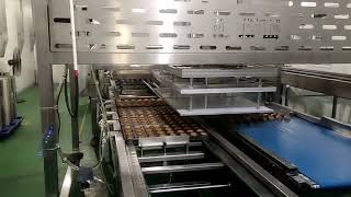 cake and bread depanner machine