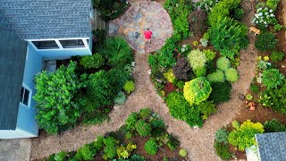Full Detailed Small Garden Tour - 100s of Plants - P1