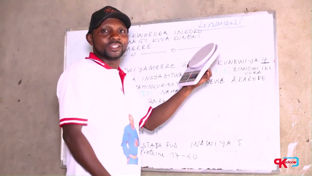 Uko wogaburira inkoko zamagi kuva zikivutse kugeza zikwije ukwezi Igice1