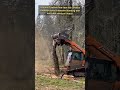 Total Destruction: 100-Year-Old Tree vs. DEVELON Monster! 🚜💨