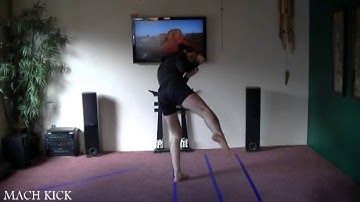 Learn Kenpo downward instep kick One Only basics strikes