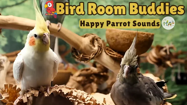 Bird Room Buddies | Keep Your Parrot Happy with Bird Room Parrot Sounds—Parrot Town TV for Birds🌿🦜❤️