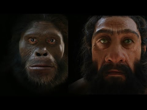 जानवर से इंसान || HUMAN EVOLUTION IN HINDI || - YouTube