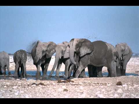 Moby - Extreme Ways (Extreme Ways Of Having Less Vocals - Mwani Remix)