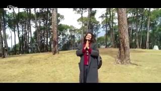 Mera bhola he bhandari kare nandi ni sawari shambhu nath re. h
bhandari. #trending #damruwala#viralvideo #status
#mahadeve#merabholahaibhandari