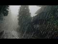 Rain Sounds For Sleeping - 99% Instantly Fall Asleep With Rain And Thunder Live #liverainsounds