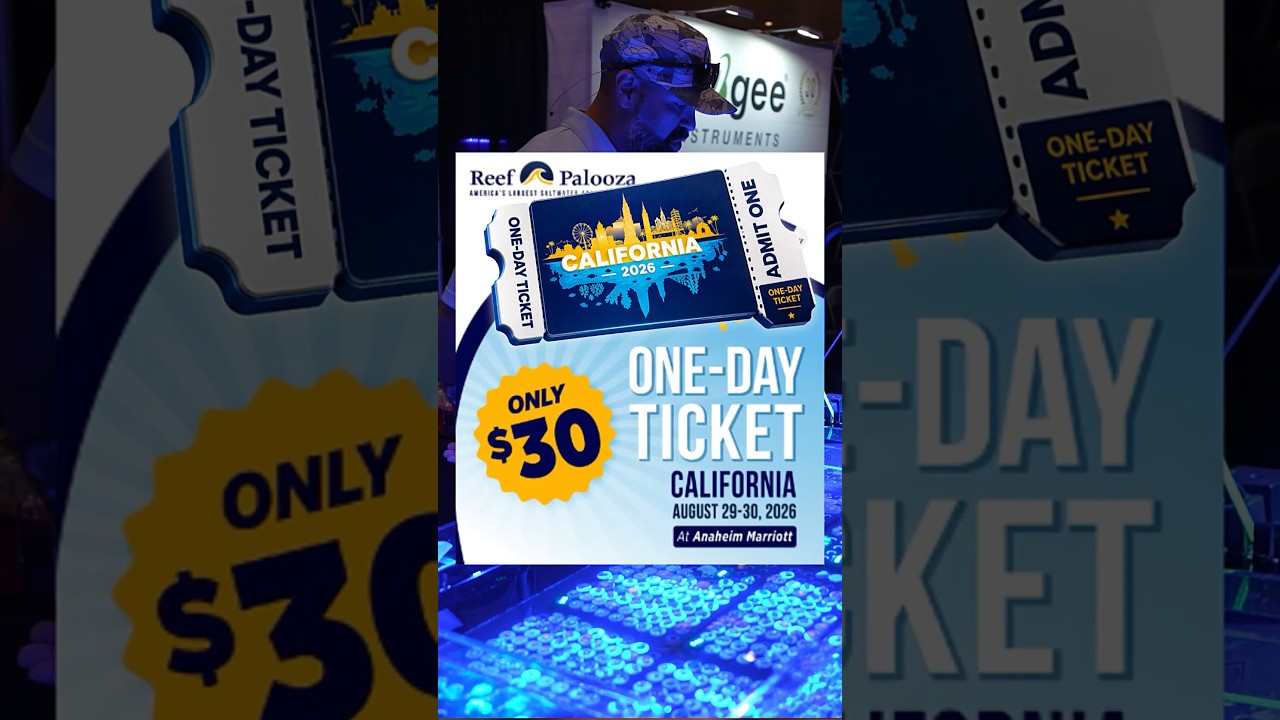 Which ticket are you grabbing for Reefapalooza California? 🤔🎟️ #reefapalooza #aquariumshow #aquarium