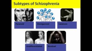 Exploring Psych Ch 14 Explaining mood disorders