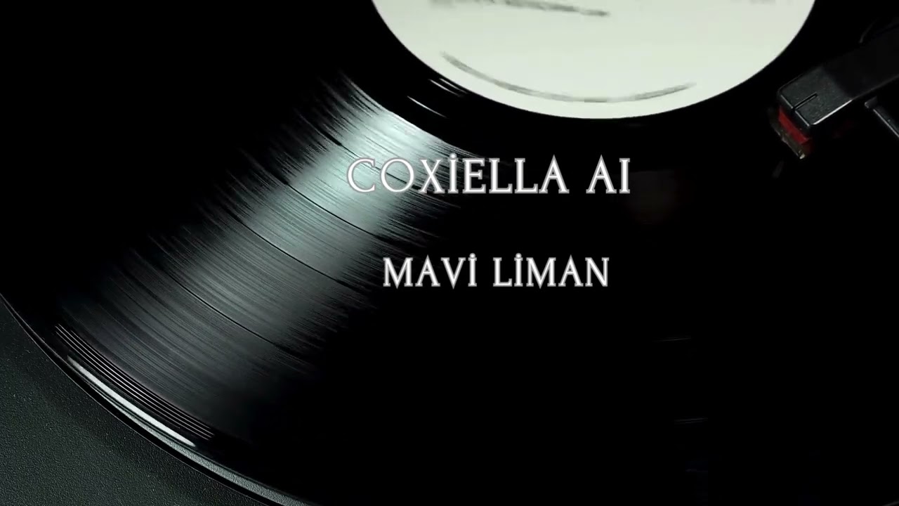 ONBİR AI  -  MAVİ LİMAN