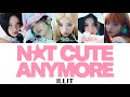 NOT CUTE ANYMORE ILLIT 아일릿 パート分け 日本語字幕 歌詞 和訳 カナルビ