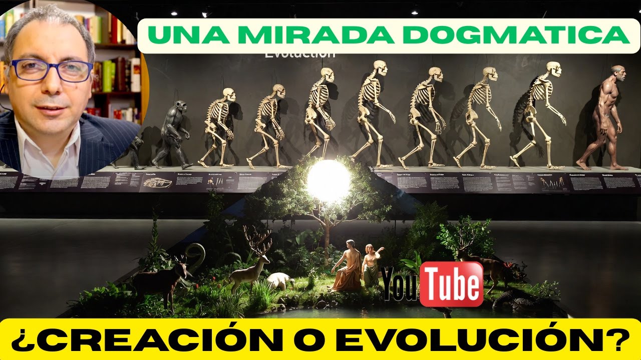 ¿Creacionismo o evolución? ¿Cómo afecta a los dogmas? ¿Todos los científicos apoyan la evolución?