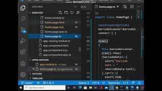 barcode scanning in ionic capacitor app