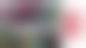 Plastic Square Mesh or Mosquito Mesh Production Line