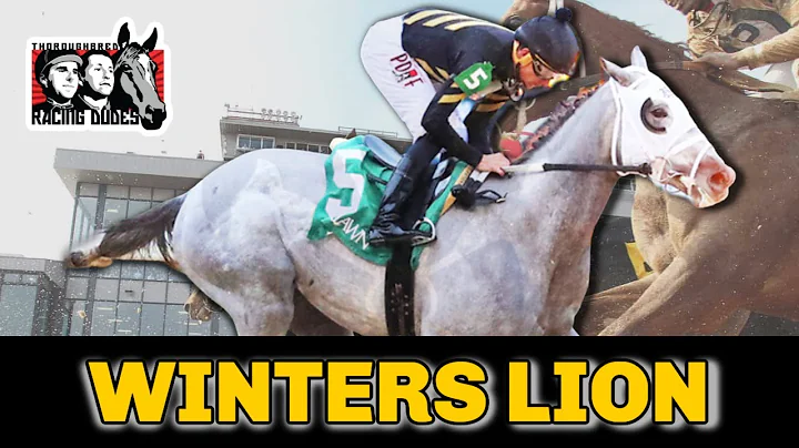 WINTERS LION Breaks Maiden At Oaklawn Park For Joe...