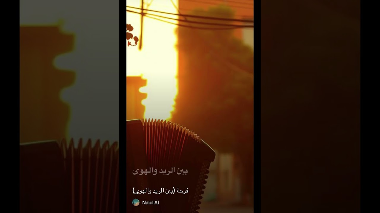 بين الريد والهوى - محمد وردي