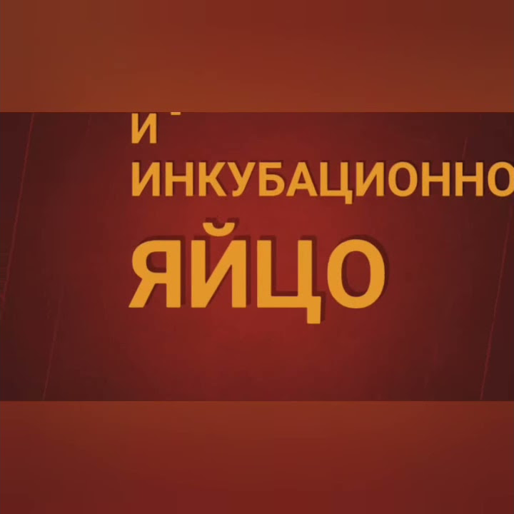 ТРЕЙЛЕР КАНАЛА Сельский дворик - YouTube