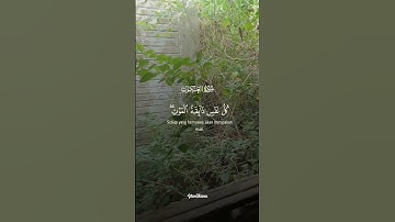 يا عبادى الذين آمنوا تلاوة خاشعة بصوت القاريء عبدالرحمن مسعد #قران_كريم #اكسبلور #عبدالرحمن_مسعد