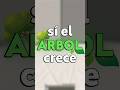 si el ARBOL crece... PERDES
