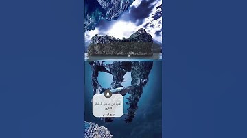 🌿تلاوة من سورة البقرة 🌿القارئ وديع اليمني 🌿