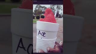 Tallahassee, Fl| Travel Vlog| Florida Living | Black Girl Travel