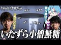 復習を誓ったSugarZ3ro、物を投げて威嚇します…ｗ【Phasmophobia】