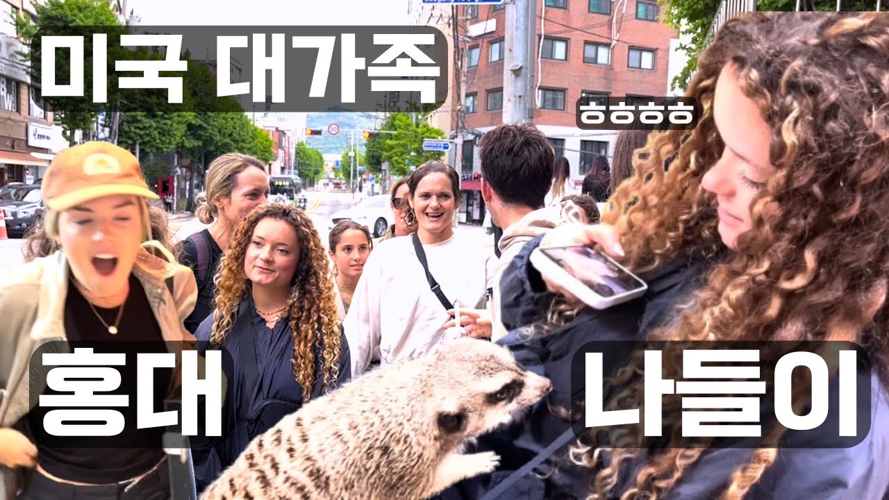 미국 처갓집을 홍대에 데리고 가면 생기는 일 ㅋㅋㅋㅋㅋ