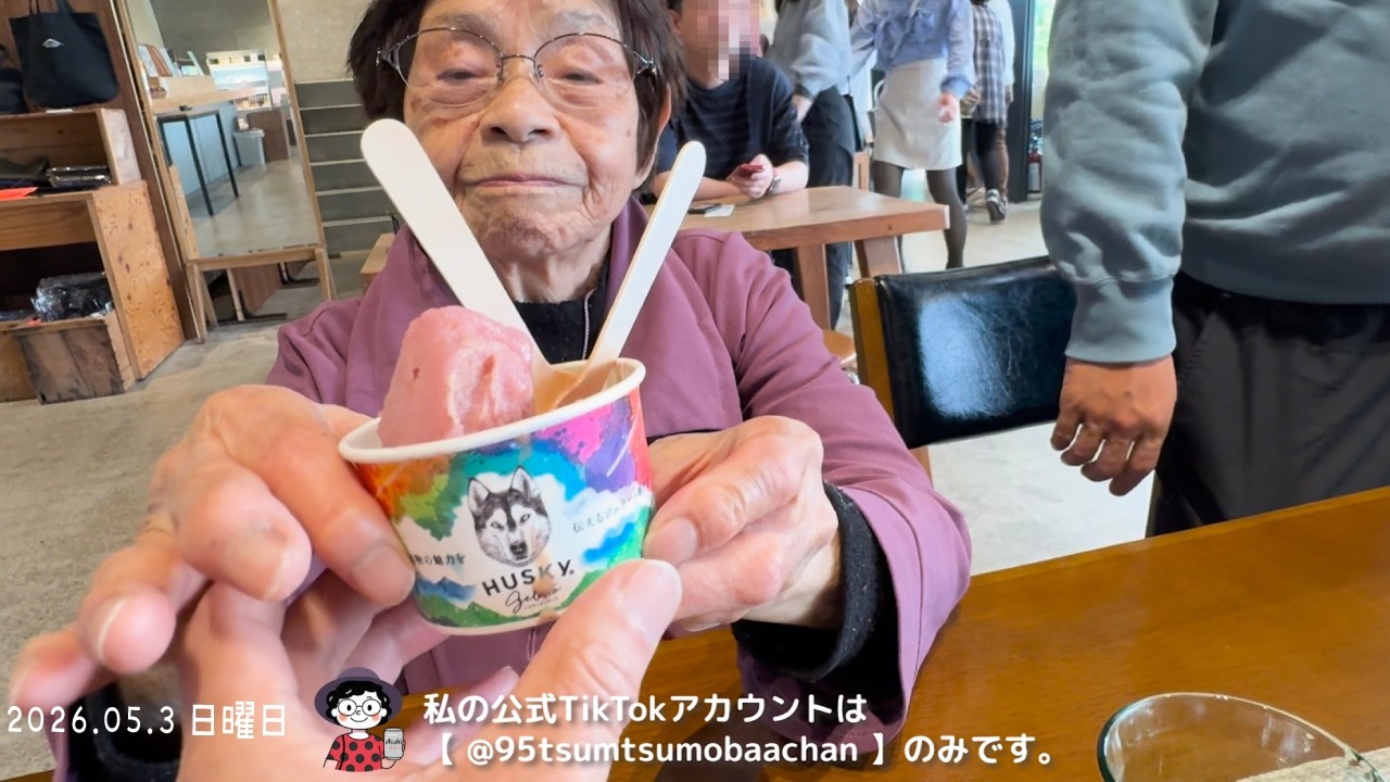 おとめちゃん家から魚沼の里へ 95歳ツムツムおばあちゃんと孫の旅