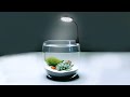 N-6 Nano LED Light for Small Tanks & Bowls