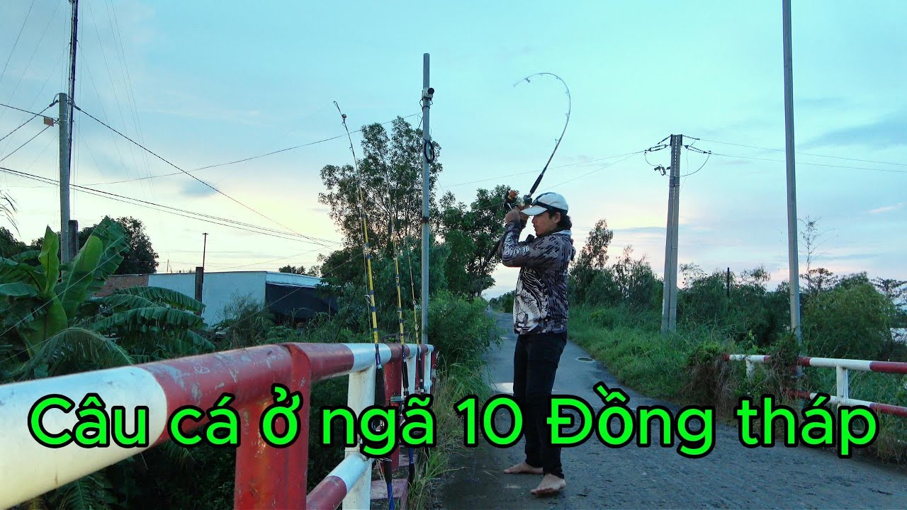 Câu cá ngã 10 Đồng tháp
