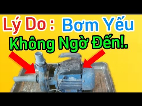 'Nguyên Nhân Máy