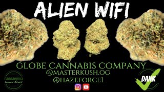 Alien WiFi Strain Review - Globe Cannabis Company - @MasterKush.OG & @HazeForce1 - Cannapedia
