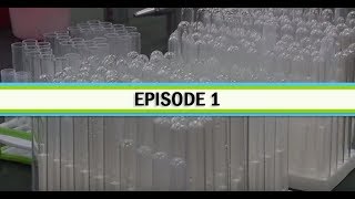 CUNY, Salt Lake Ep1