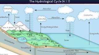 Systems and the Water Cycle (ESS 4.1.1 & 1.2)