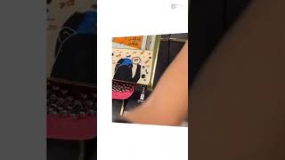 騎腳踏車到淡水
