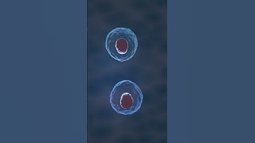 working on simulating cell division in Blender #blender3d #b3d #biology #science #motiongraphics