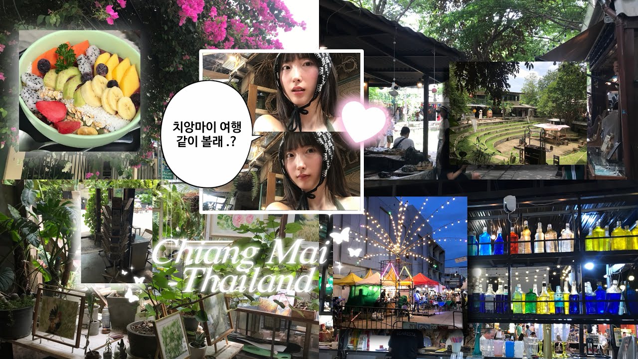 【VLOG】 🇹🇭 치앙마이 인생여행지 맞다.. [ 반캉왓 | 나이트바자 | 치윗치와 | 넹무옵옹 | 쿤캐주스바 | 블루누들 ]
