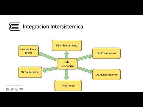 el sistema nacional de tesoreria