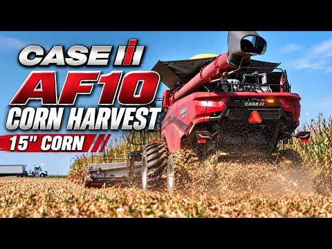 2026 Corn harvest is underway in Central Illinois, Case IH AF10 w/ 24rw 15” Geringhoff Cornhead 