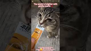 The World Is Brighter With Gentle Hearts