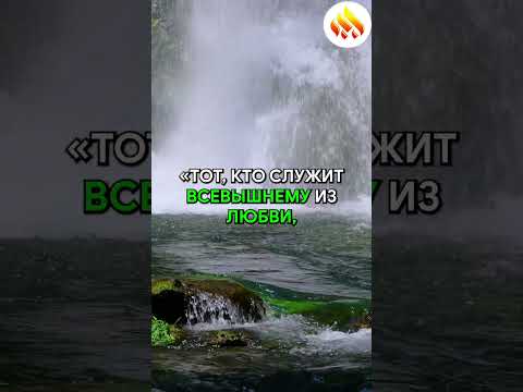 Мудрость Учителя: СТРАХ НАКАЗАНИЯ
