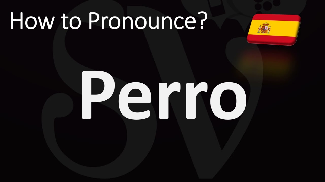 How To Pronounce Dog Perro In Spanish YouTube How To Pronounce Dog Perro In Spanish YouTube