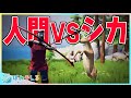 無数の シカ に紛れ込んだ 偽シカ を探し当てるゲームで大盛り上がりする男たち Oh Deer 無数の シカ に紛れ込んだ 偽シカ を探し当てるゲームで大盛り上がりする男たち Oh Deer