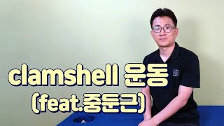 clamshell 운동(feat.중둔근)