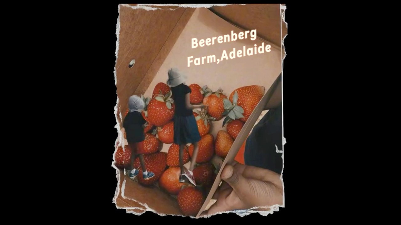 Beerenberg Strawberry Farm, Adelaide 