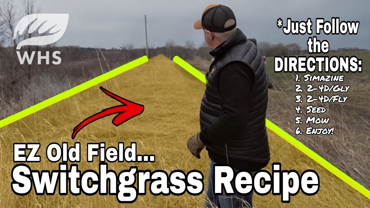 EZ Switchgrass Recipe For Old Fields